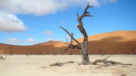 Le Carême, Chemin d’Esperance