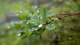 Vers une conversion écologique urgente