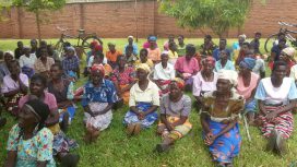 Food security and sustainability among the widows of sitima in Malawi